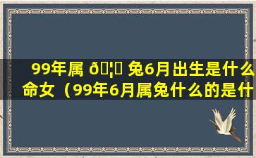99年属 🦈 兔6月出生是什么命女（99年6月属兔什么的是什 🕊 么命）